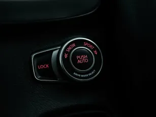 Suzuki  21