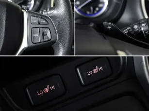 Suzuki  15