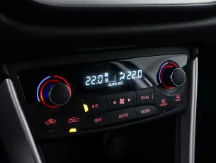 Suzuki  15