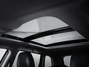 Suzuki  19
