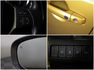 Suzuki  11