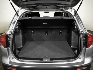 Suzuki  15