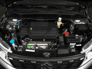 Suzuki  6