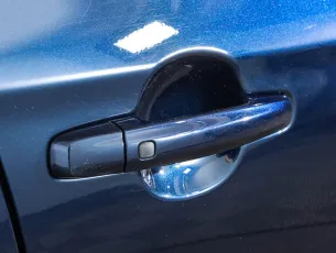 Suzuki  17
