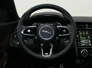 Jaguar  10