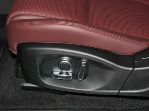 Jaguar  9