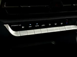 Changan  20