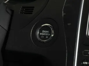 Ford  15