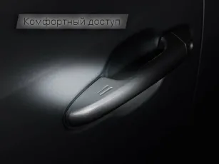 Toyota  19