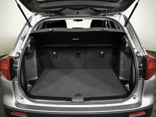 Suzuki  15