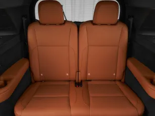 Li Auto (Lixiang)  25