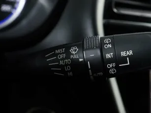 Suzuki  17