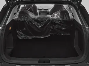 Dongfeng  19