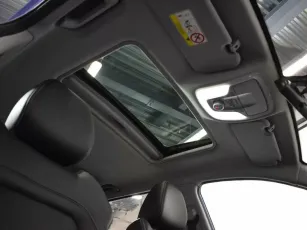 Chery  20