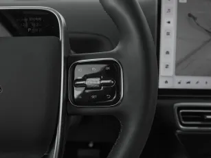 Li Auto (Lixiang)  14