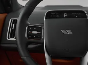 Li Auto (Lixiang)  12