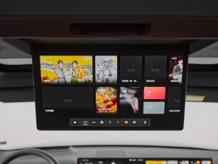 Li Auto (Lixiang)  21