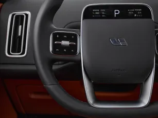 Li Auto (Lixiang)  12